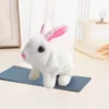 Lapin en peluche électrique pour enfant