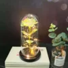 Rose galaxy en verre lumineuse