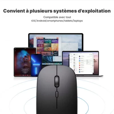 Souris sans fil rechargeable 2 en 1