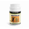 Boîte de Mouvalez Bioactis Laboratoires — complément alimentaire à base de plantes pour le confort articulaire, contenant 60 gélules. Étiquette orange avec silhouette d’un homme en action et illustration de plante médicinale.