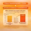 Infographie Mouvalez : étude comparative clinique montrant une amélioration de la gêne articulaire +60 % avec la formule Boswellia serrata + Chondroïtine vs placebo (source : Siriwattananon et al., Evid Based Complement Alternat Med, 2020).