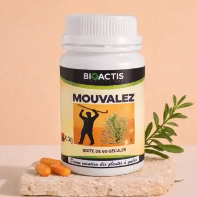 Pot de Mouvalez Bioactis Laboratoires posé sur une pierre naturelle, accompagné de 3 gélules orange et d’une brindille de plante médicinale — mise en scène épurée soulignant l’origine 100 % végétale et le caractère apaisant du complément articulaire.